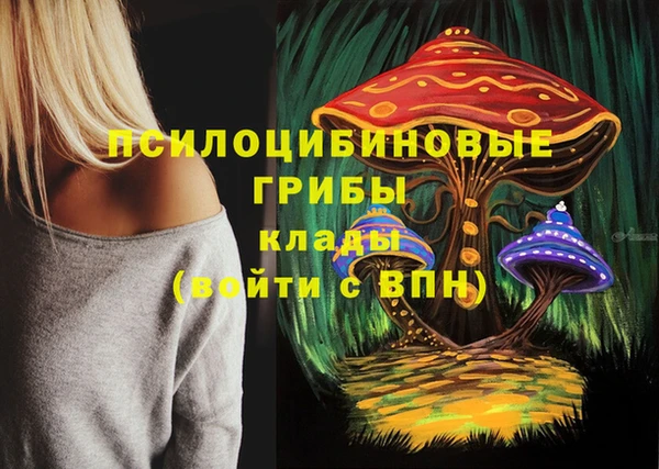 героин Дмитриев